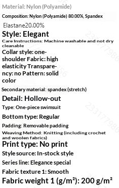 Womens Two Piece Elegant Swimsuit